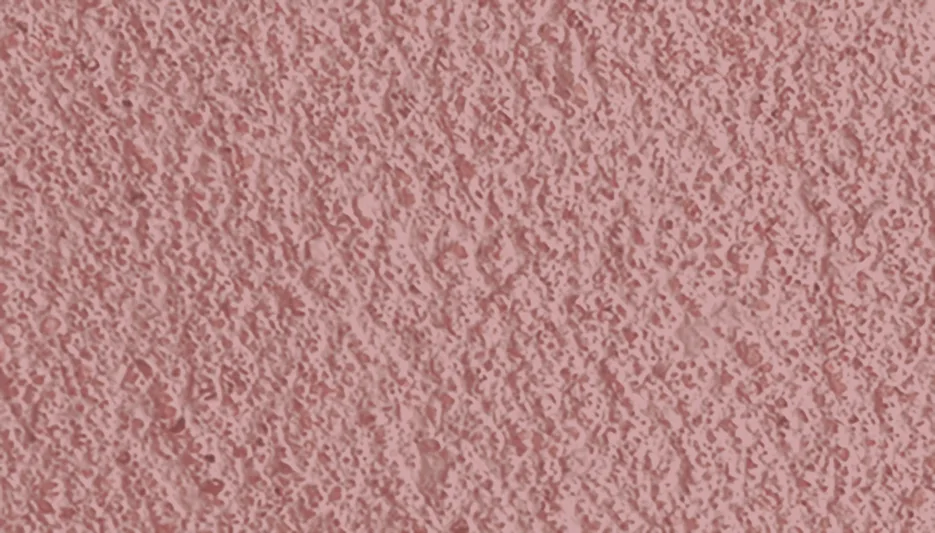 Burnt Terracotta mortar colour